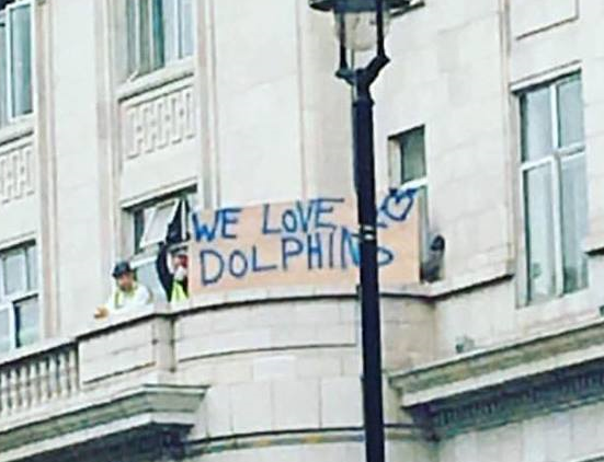 We Love Dolphins_2