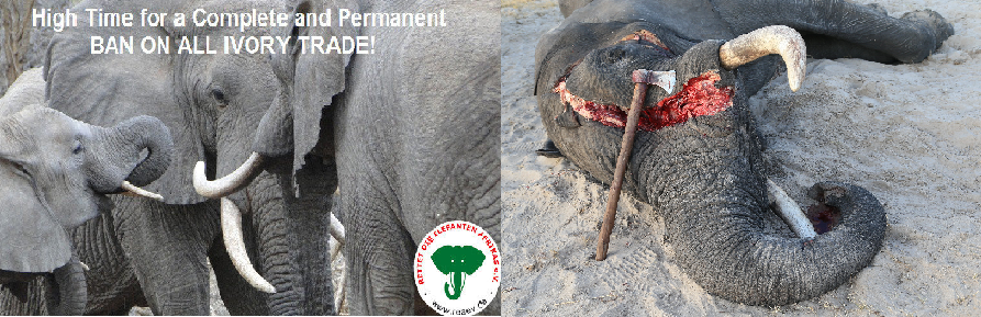 Ban Ivory Trade