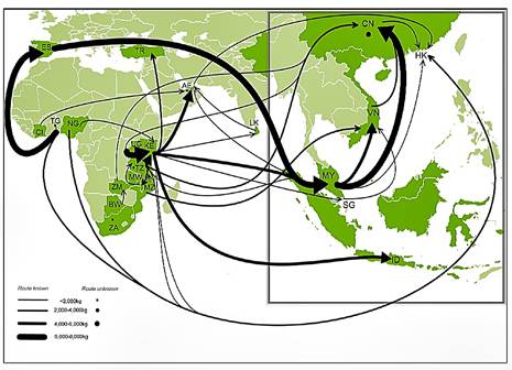 Ivory Trade Routes