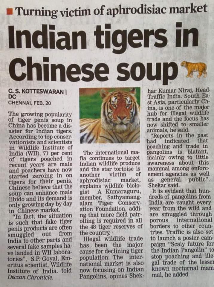 Tiger soup