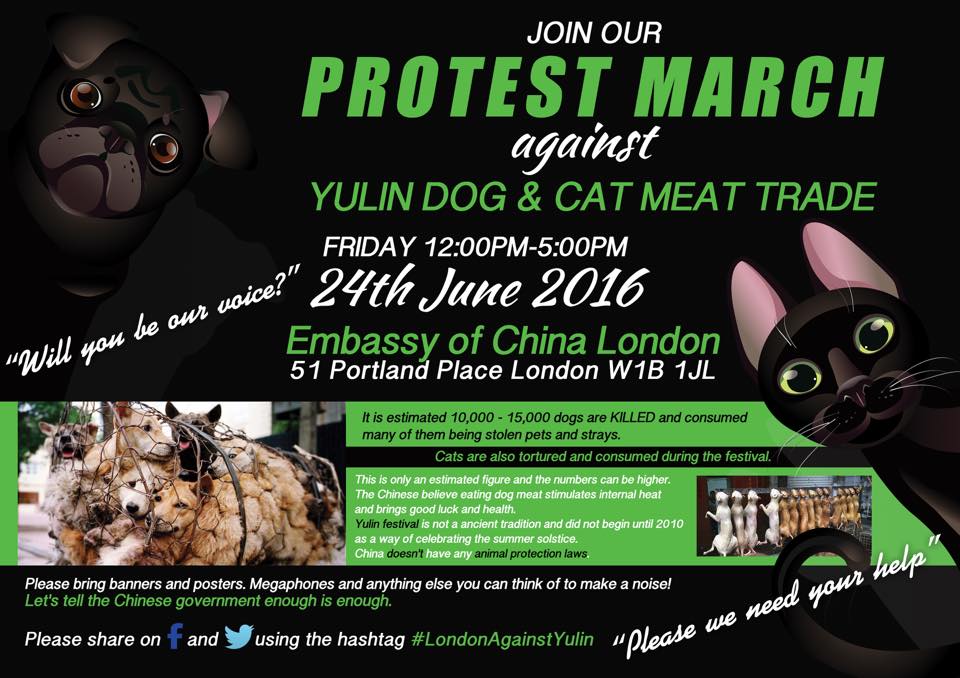 Yulin_Protest