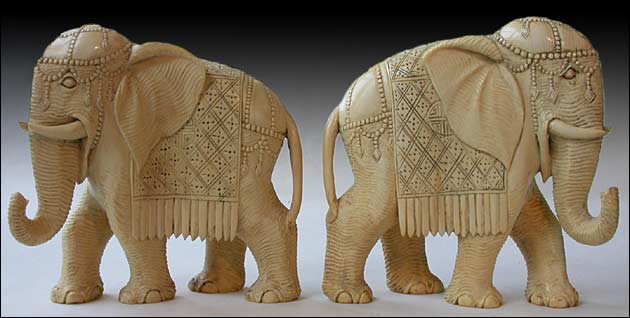 ivory-elephants_dscn1146