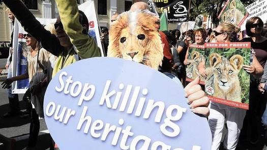 Canned - Stop killing our heritage